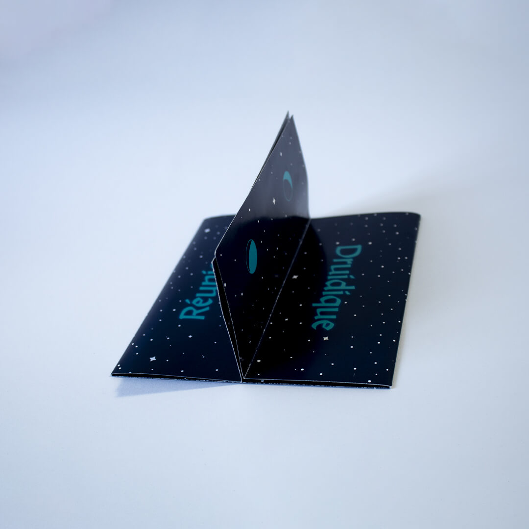 Programme Camelot Design Druides