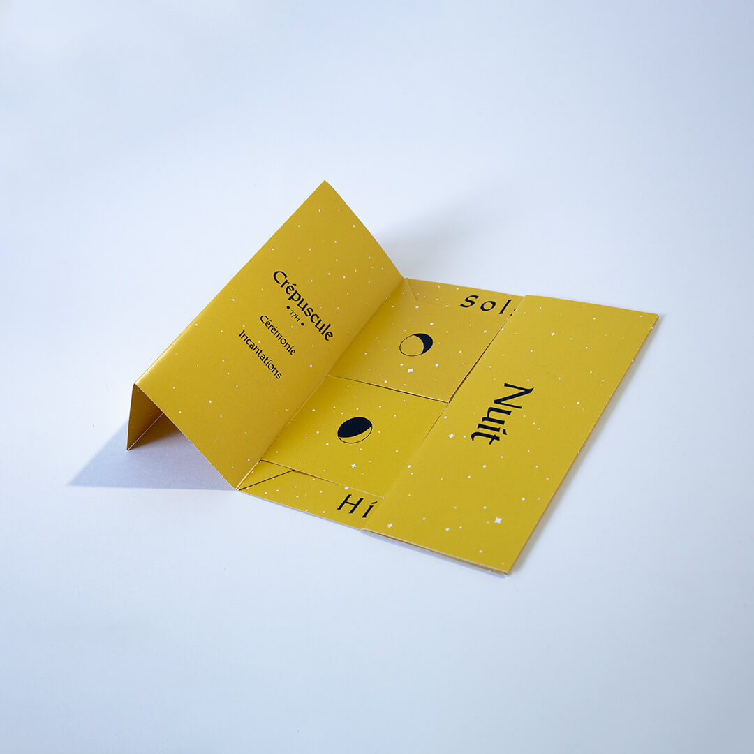 Programme Camelot Design Druides