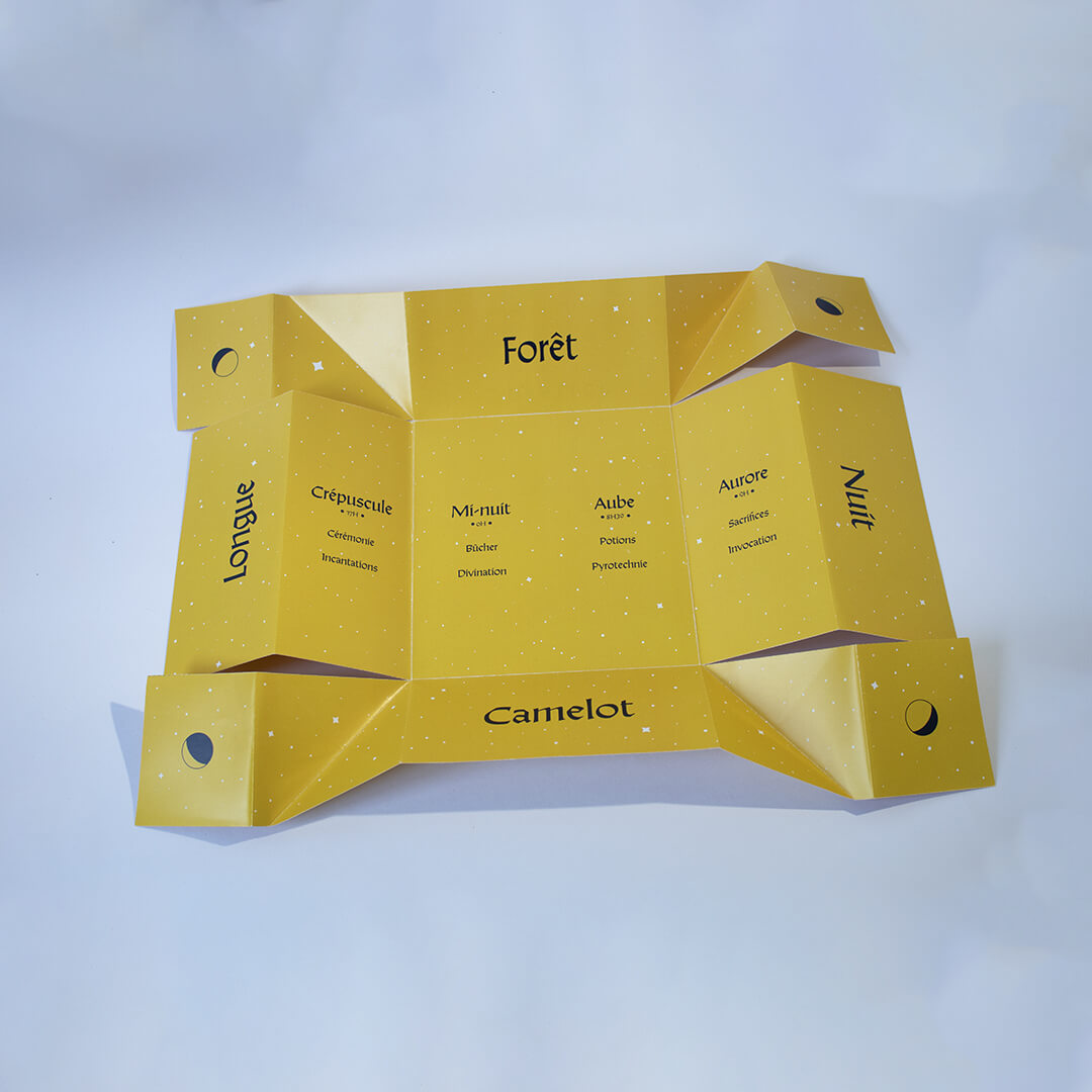 Programme Camelot Design Druides